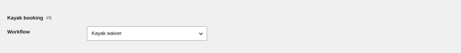 One form's settings on SignSealer → Forms with the Kayak waiver workflow chosen.